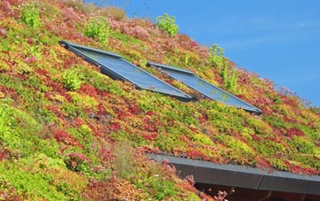 Holcot living roof systems